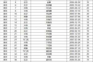 第十五届全运会足球男子U20资格赛报名名单（自整理，仅供参考）