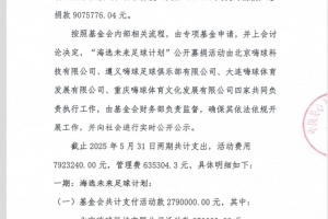嗨球海选未来财务报告：捐款总额907.5万，教练团队支出约345万